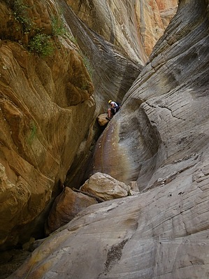 feature photo