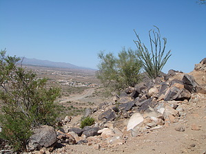 feature photo