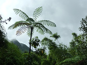 feature photo