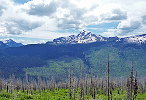 feature photo