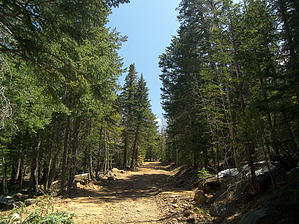 feature photo