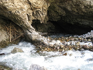 feature photo