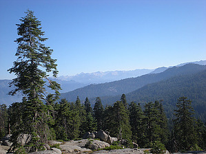 feature photo