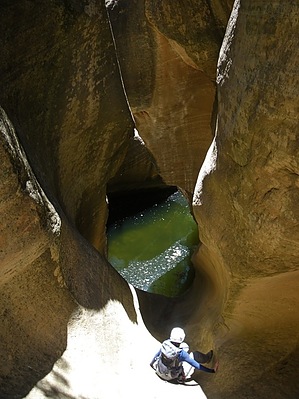 feature photo