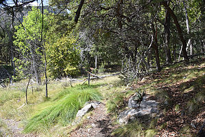 feature photo