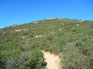 feature photo