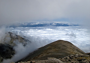 feature photo