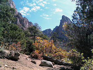 feature photo