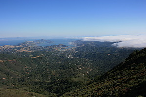 feature photo