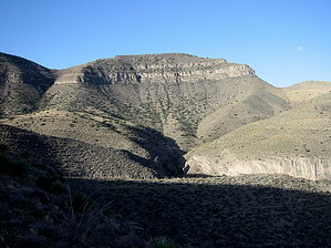 feature photo