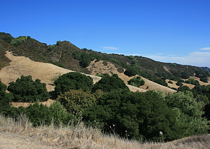 feature photo