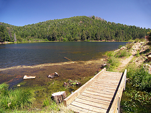 feature photo