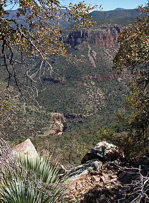 feature photo