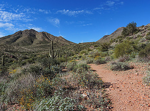 feature photo