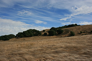 feature photo