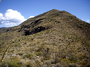 feature photo