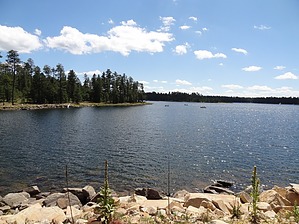 feature photo