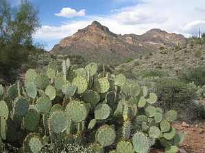 feature photo