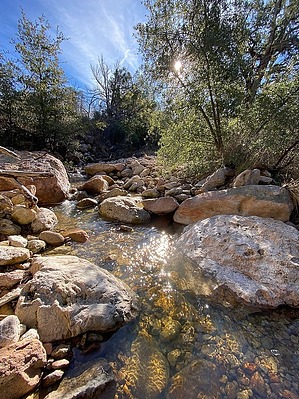 feature photo