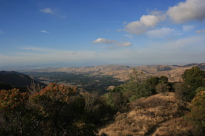 feature photo