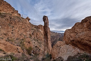 feature photo