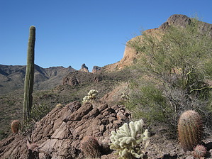 feature photo