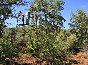 feature photo