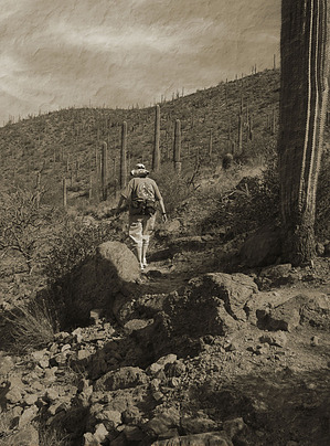 feature photo