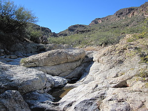 feature photo