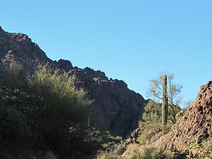 feature photo