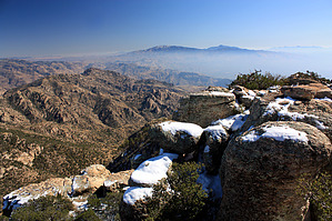 feature photo