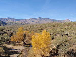 feature photo