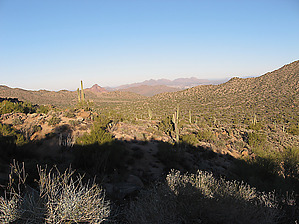 feature photo