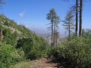 feature photo