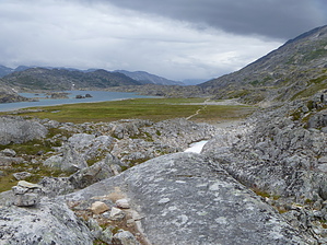 feature photo
