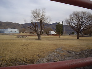 feature photo