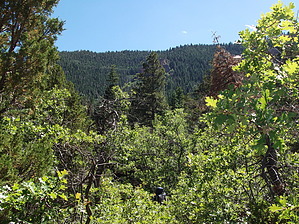 feature photo