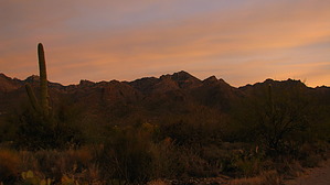 feature photo