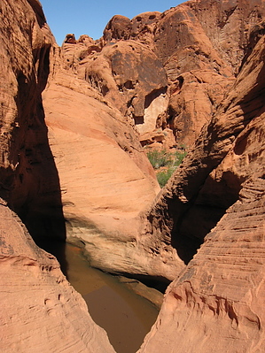 feature photo