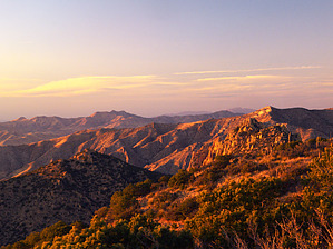 feature photo