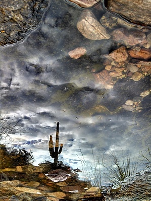 feature photo