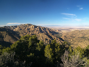 feature photo