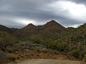 feature photo
