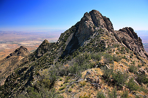 feature photo