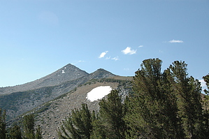 feature photo
