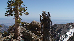 feature photo