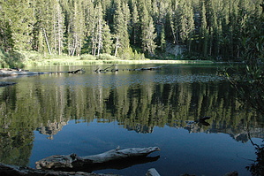 feature photo