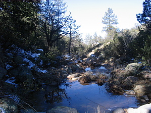 feature photo
