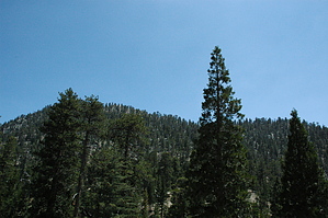 feature photo