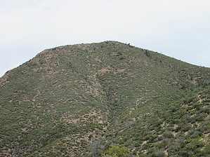 feature photo